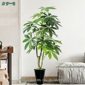 lHϗtA pL K̖ tFCNO[ ^ ϗtA A CeA CeA O tFCNA sv ͂Ȃ ~͐A Vzj lHϗtA tFCNO[ 