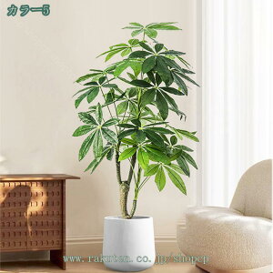 1000~OFFN[| tFCNO[ pL K̖ tFCNϗt lHϗtA sv Q̐SzȂ AȎ} Rȗt CeA ItBX z lHϗtA A 