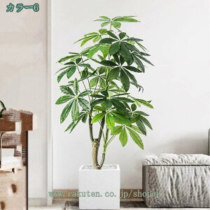 2000~OFFN[| lHϗtA pL K̖ tFCNO[ ^ ϗtA A CeA CeA O tFCNA sv ͂Ȃ ~͐A Vzj lHϗtA t