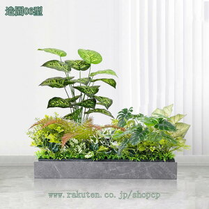 lHϗtA Rrl[V MѐA p[eBV v^[ t[{bNX ChA i Xg̊Ԏd؂ KiR[i[ ډB ̑gݍ킹 A{gt