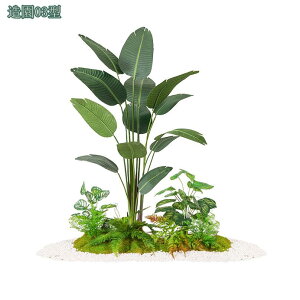 2000~OFFN[| tFCNO[ ^ lHϗtA Mъϗt CeA  O tFCNA sv ͂Ȃ ~͐A ϋv Ƃ Iȑ { 