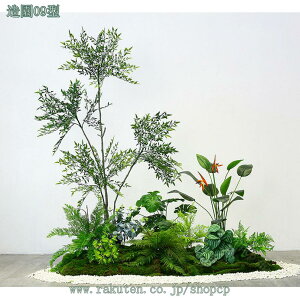 2000~OFFN[| ^ tFCNO[ lHϗtA Mъϗt CeA  O tFCNA sv ͂Ȃ ~͐A ϋv Ƃ Iȑ { 