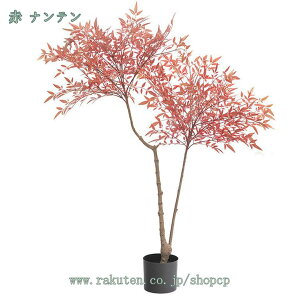 1000~OFFN[| tFCNO[ ^ IV { lHϗtA Ύ V~[V tA i fR[V ~͐A tFCNO[ ׍HJ Rɒ