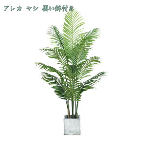 tFCNO[ lHϗtA t  CeA G b炸 sv  ItBX z[ ze fR[V Mtg ͂Ȃ u i` ~͐A V