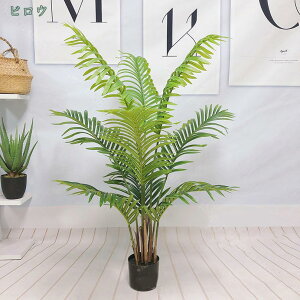 1000~OFFN[| Mъϗt lHϗtA ͂Ȃ ~͐A tFCNO[ ^TCY ȒPb炸 CeA  rO ItBX t CeA A lHϗtA tF