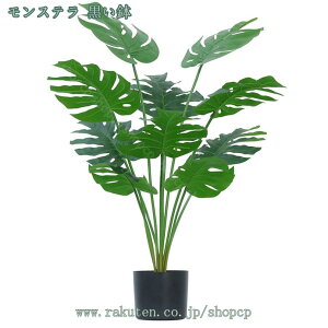 lHϗtA tFCNO[ ϗtA ^ lH  u u i` Vv k ϗtA lHϗtA CeAO[ i`ȕ͋C ~͐A 