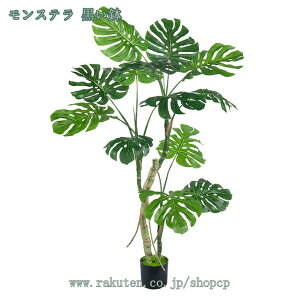 Xe lHϗtA tFCNO[ sv ͂Ȃ QȂ CeA ItBX  GgX ̃tFX  ItBX ze u  {