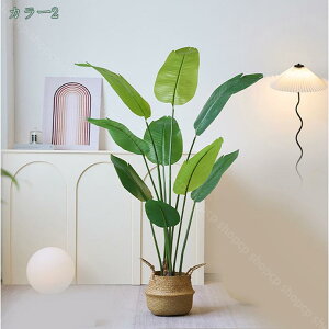 1000~OFFN[| 1.6M tFCNO[ Ɋy  lHϗtA  GgX ̃tFX  ItBX CeA O tFCNA Mъϗt sv ͂Ȃ ~