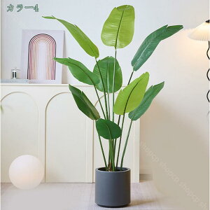 1.6M tFCNO[ Ɋy  lHϗtA  GgX ̃tFX  ItBX CeA O tFCNA Mъϗt sv ͂Ȃ ~͐A tFCN