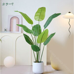 1000~OFFN[| 160cm ^ tFCNO[A tFCNA ChA rO[   Xg`AEMl  CeA ׍HJ ׂ} @ׂȗt ItBX 