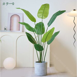 1000~OFFN[| 1.6M tFCNO[ Ɋy  lHϗtA  GgX ̃tFX  ItBX CeA O tFCNA Mъϗt sv ͂Ȃ ~