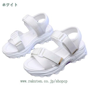 300~OFFN[| fB[X T_  JWA  X|[cT_ ₷ ʊw ʋΌC ėp y r[`T_ r[T t@bV fB[XV[Y y 