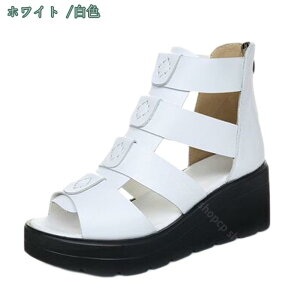 777~OFFN[| OfBG[^[T_ T_ obNWbp[ fB[X RtH[g u[cT_ C xN EGbW\[ Xgbv T_ T}[u[c I[v