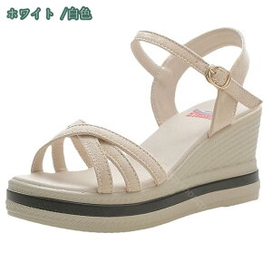 300~OFFN[| nCq[ V[Y Xgbv T_ EFbW\[ OfBG[^[ T_ S T_ ][g  I[vgD W[g ʋC Ȃ 