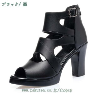 1000~OFFN[| OfBG[^[T_ nCJbg fB[X T_ EFbW I[vgD obNWbp[Zp[g  tbg ʋ hvbgtH[ v _炩 u