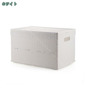 1000~OFFN[| [pi [łߑP[X [P[X ܂肽 Wt  L o[P[X O\ ܂ ho [ ߑP[X 