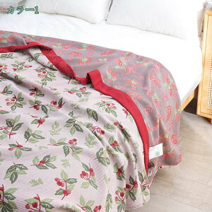 2000~OFFN[| K[[Pbg VO k 100% d K[[ o[Vu ې 􂦂 z z  uPbg Pbg Ђ| |zc ct ۈ牀 Q  M xr