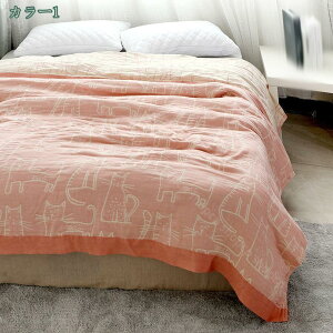 300~OFFN[| K[[Pbg VO VR100% 4dD yĒʋC┧G肪悢 ӂ z ĉ K ېOK k Z~_u |  Qz  zQ ʋC 