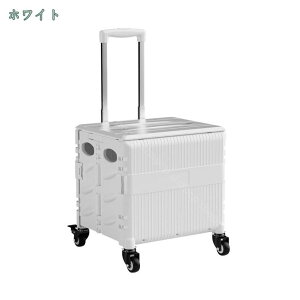 777~OFFN[| VbsOL[ J[g 4 ܂肽 VbsOJ[g L[obO É RpNg e 360x]\ L[J[g 360x]   