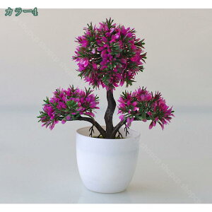 300~OFFN[| lHϗtA v~A  ϗtA ȒPb炸 sv tFCNO[ lHA CeA  A lߍ킹 p   Mt lHϗtA