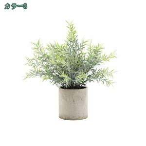 tFCNO[ lHϗtA ϗtA tFCN ϗtA A  CeA  lHA CeA ̓ ̓v[g Ղ葡蕨 CeA ~j~ t