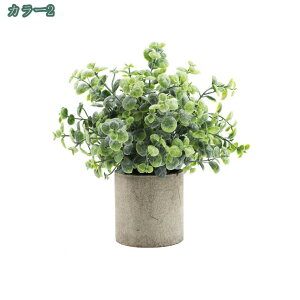 tFCNO[ lHϗtA ϗtA tFCN ϗtA A  CeA  lHA CeA ̓ ̓v[g Ղ葡蕨 CeA ~j~ t