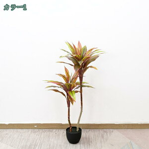 1000~OFFN[|  ϗt G} C L R tFCNO[ 140cm ϗA lHϗt ϗtA tFCN  Vv ItBX  CeA ^   lH 