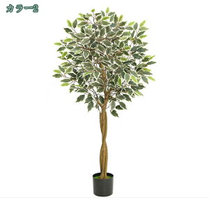 xW~ V_KW} 160cm lHϗtA tFCNO[ ϗtA  G} t yʃZg t@Co[Zg tFCN O[ CeA  j L 