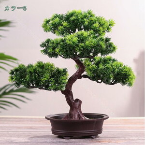 300~OFFN[| lHϗtA lH~͉Ƌ lH}̖ lHΐA A rO[  TA  V~[V~͉Ƌ 悤  vX`bN ~ A A z