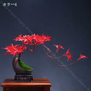 1000~OFFN[| tFCNvg tFCNvg lHϗtA  A tFCNvg T K  V~[V ~  ItBX p lHϗtA lH~̓V~