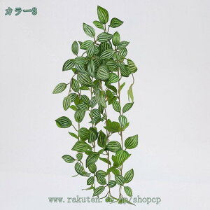 500~OFFN[| O[ XNGA   ϗtA ~j tFCNO[ L G} lH A   Mtg   b炸 sv ItBX z[ fR[