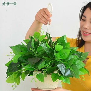 500~OFFN[| lHϗtA lHϗtA V~[V ϗtA A  p  A  ~ rO[ ItBX  p lHϗtA  i`