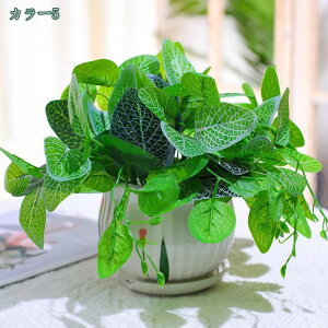 1000~OFFN[| lHϗtA lHϗtA V~[V ϗtA A  p  A  ~ rO[ ItBX  p lHϗtA  i`