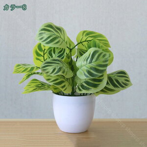 300~OFFN[| lHϗtA lHϗtA ~jtFCNϗtA lp O[ fB lHϗtA A ƒ ItBX fXN e[u  p lHϗtA 