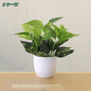 777~OFFN[| lHϗtA lHϗtA ~jtFCNϗtA lp O[ fB lHϗtA A ƒ ItBX fXN e[u  p lHϗtA 