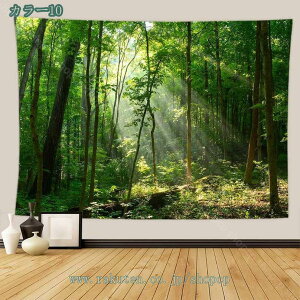 300~OFFN[| 3D  A ^yXg[ z|X^[ ΂̕i i̔wi X ΂̖  R Ǌ| 蕨 CeA  J[e Ԏd؂ NȃC Ă̎Ri xb