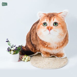 I[_[ChNbV ybg VGbg 傫 I[_[ NbV  ˂ ʐ^ A IWi I[_[NbV t@Xi[t ybg Ck lR av[g