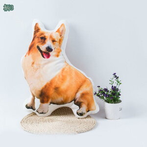 300~OFFN[| IWi  ֎q NbV ʐ^\ Jo[t ӂӂ Ԉ֎qNbV \t@[ `FA wăNbV   L Ԃ l vw Ƒ ʐ^