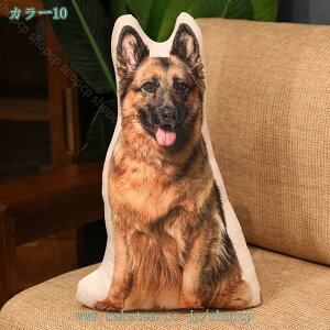 777~OFFN[| ӂӂ  ʂ  L ʂ   킢 ӂӂ rbO v[g Mtg   j ގ ޏ xbh l炵 shopcp