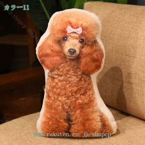 ˂ L   ܂  ӂӂ NbV LN^[ ʂ v[g  ܂  ObY 킢 􂦂 bNX ObY ܂  j a