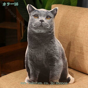 300~OFFN[| ӂӂ  ʂ  L ʂ   킢 ӂӂ rbO v[g Mtg   j ގ ޏ xbh l炵 shopcp