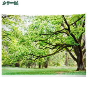 300~OFFN[| ^yXg[ k Ri  t@bViuȎRȃVv ss i 傫ȃTCY CeA pi Vz |X^[ O[̑ p[