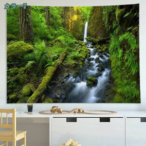 ΂̐X̃^yXg[  A R΂̖؂̃WO iǊ| Ƃ̑̂ Q  R  X  c[ t@^W[  z i 唻 傫 iF wiz e[uN