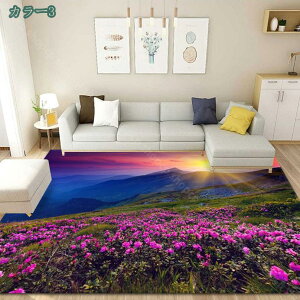 500~OFFN[| O k OJ[ybg V̖ q Jt zbgJ[ybg rOp IV h_j l炵 3D͗l t[O  X^C ~ 傫 ~ NK