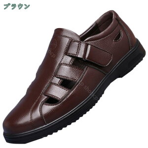 500~OFFN[| [t@[ Y bVT_ ėp vC hCrOV[Y T}[ RtH[g y L h ʋC X|[cT_  AEghA ip JWA