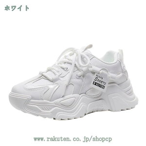 500~OFFN[| fB[X i[XV[Y Xj[J[  RtH[gV[Y Ōt ʋC NbV wlC y fbLV[Y [XAbv EH[LOV[Y tďH n 