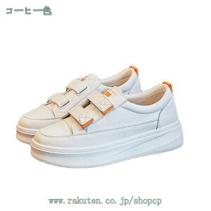 3500~OFFN[| fB[X  Xj[J[ 傫TCY i[XV[Y ɂ ₷ E₷ Xj[J[ }WbNe[v   y AEghA JWA Vv ^