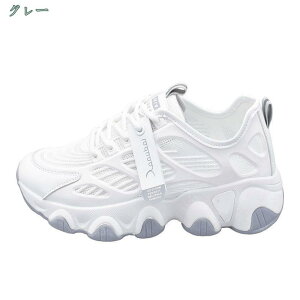 500~OFFN[| fB[X Xj[J[ _bhXj[J[  jOV[Y EH[LOV[Y ɂ ʋC y X|[c ʋΌC ʊwC JWA r Xj[J[ 