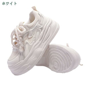 1650~OFFN[| V[Y fB[X Xj[J[ X|[cV[Y jOV[Y ^C EH[LOV[Y C g[jO  ʋC  WMO 傫   y 