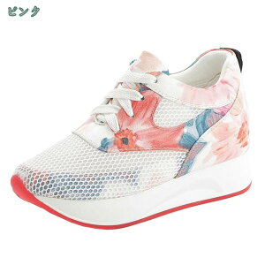 300~OFFN[| Xj[J[ fB[X  Xj[J[ [Jbg [XAbv C Xb| EH[LO ^C X|[c  [Jbg JWA  ɂ y ʋ ʊw 